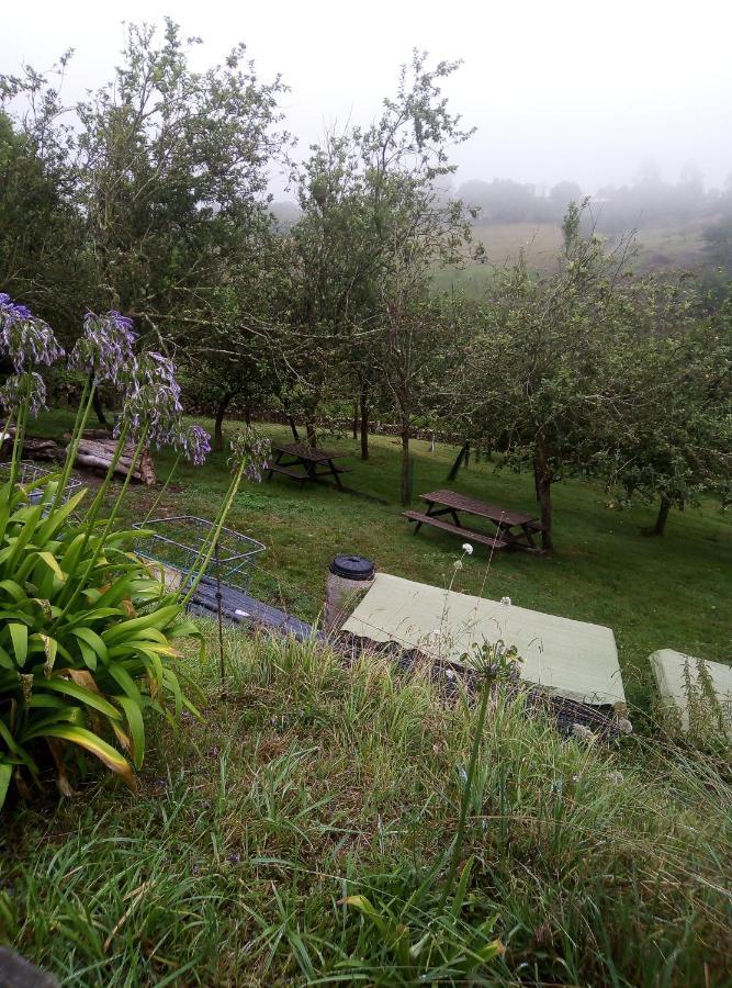 Somonte Otel Quintes Dış mekan fotoğraf